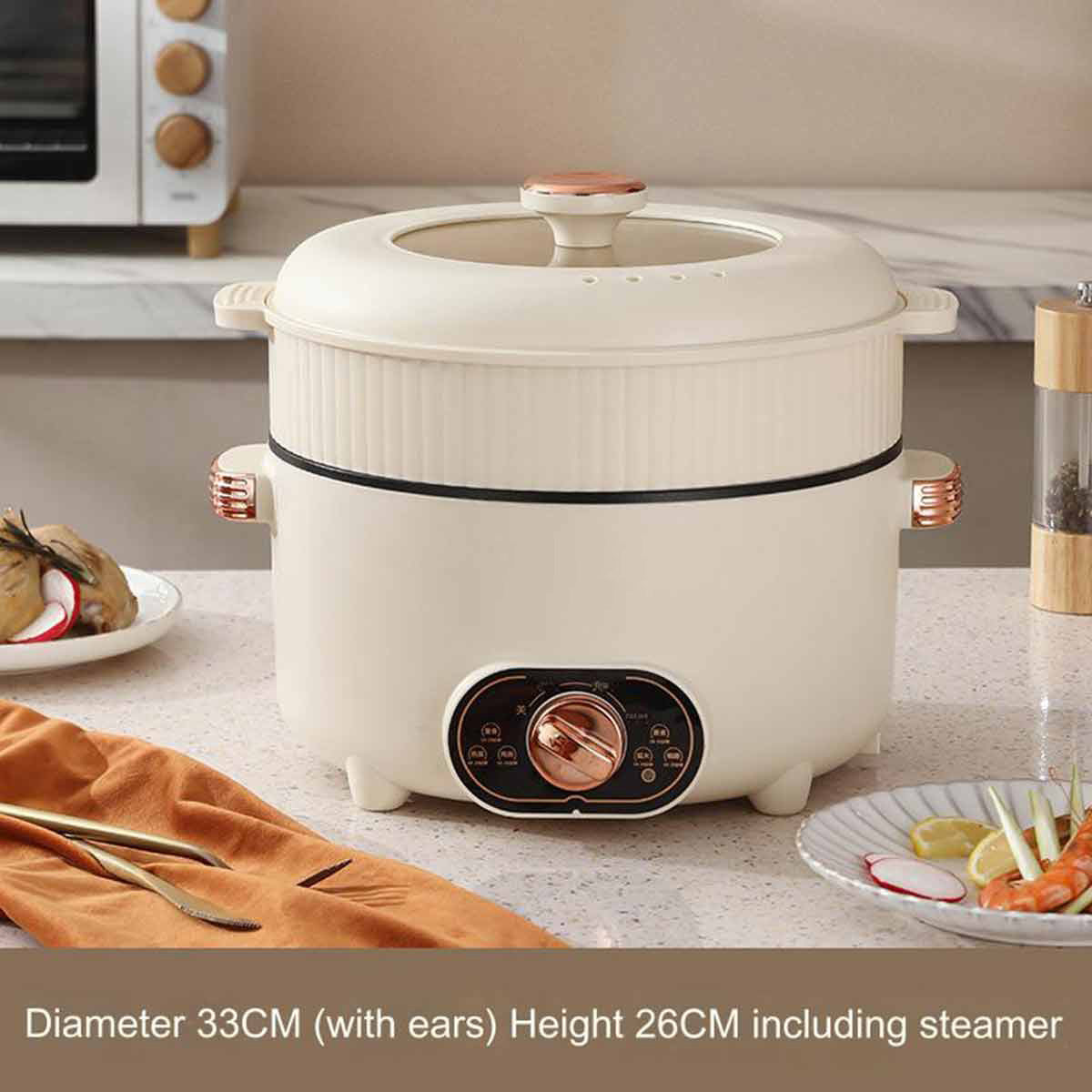 Electric steamer, dual power multifunctional rice cooker with overheat protection