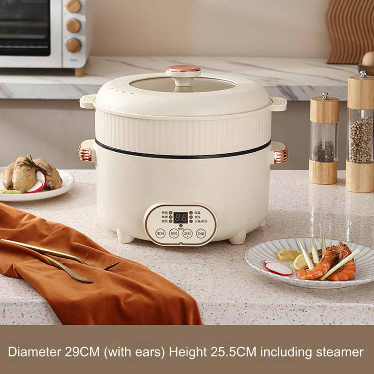 Electric steamer, dual power multifunctional rice cooker with overheat protection