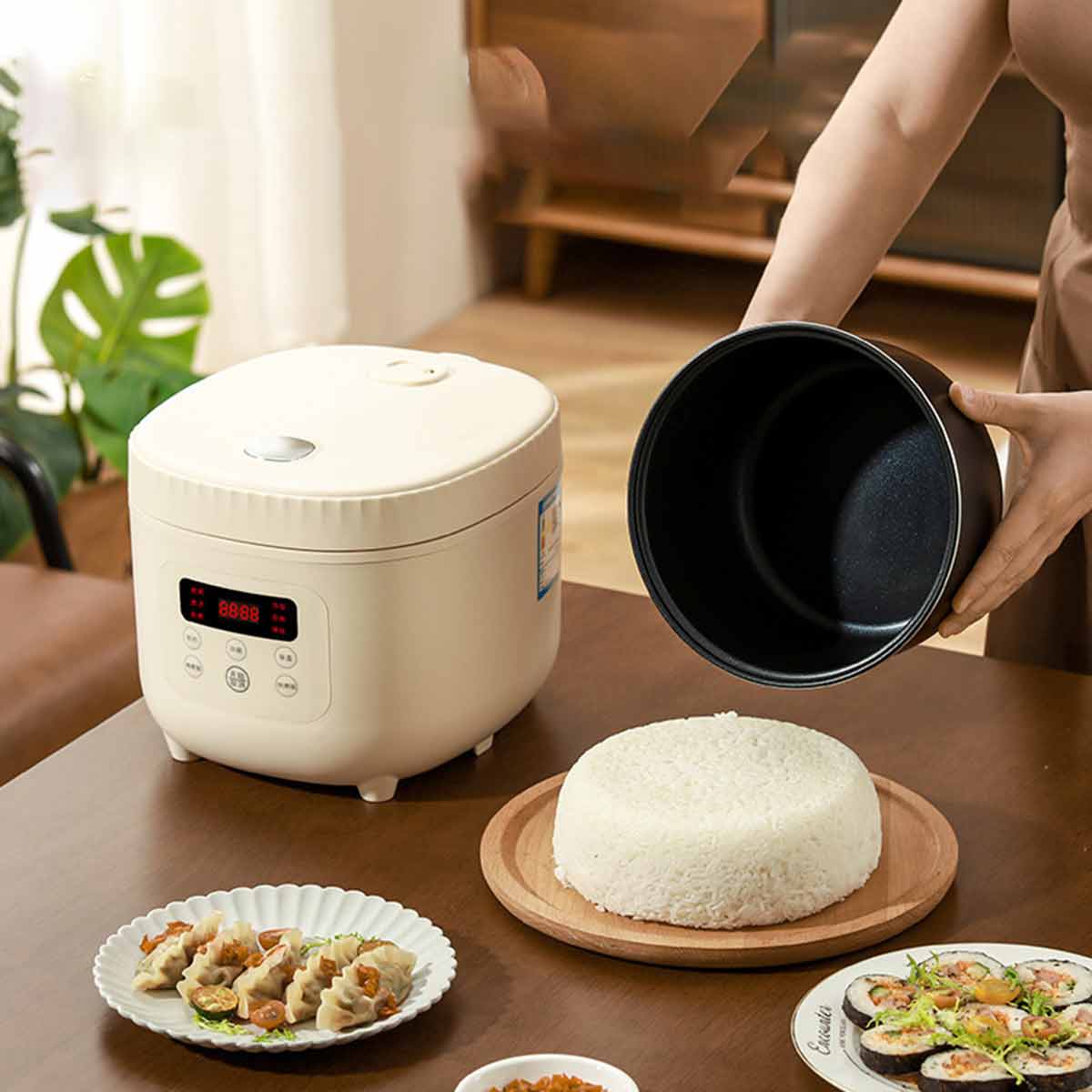 Rice Cooker, Portable Travel Steamer-Ecoappstore